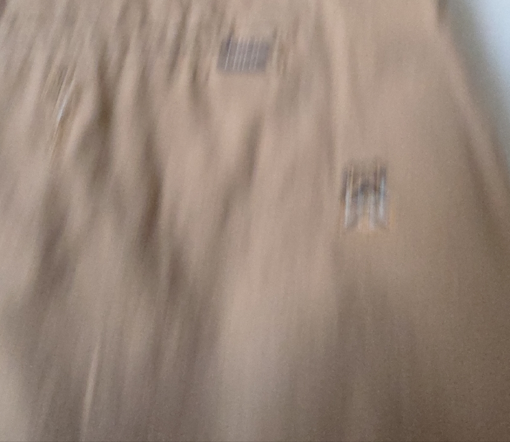 Polo by Ralph Lauren Khaki Embroidered Men's Shorts - Picture 5 of 7